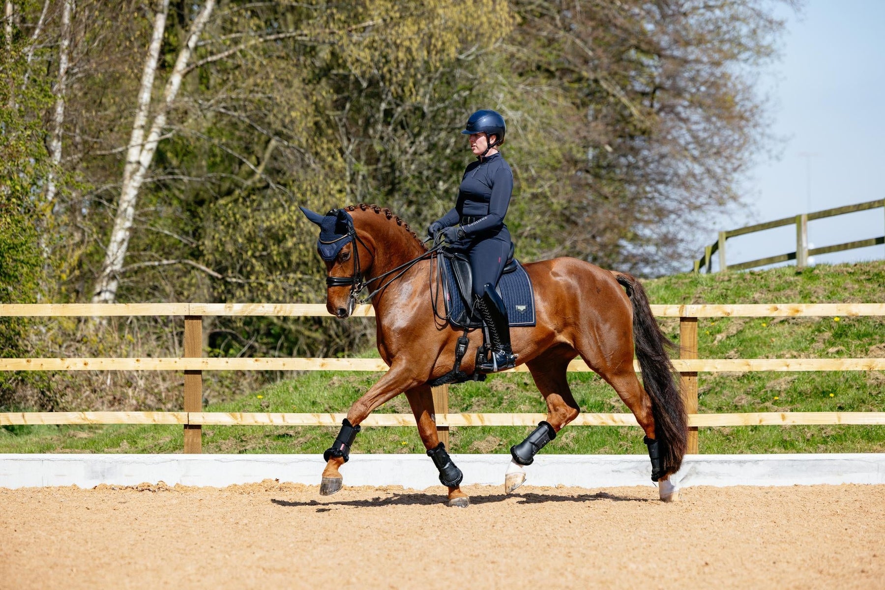 Dressage Attire and Tack Rules