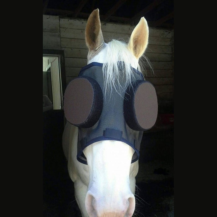 13662039-1214035568631351-3829749756199250783-o