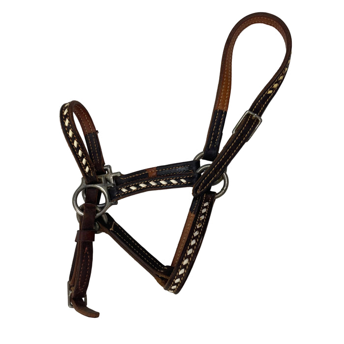 CNT 2140FFFFF Leather Halter Dark Brown with White Diamond Pattern approx Pony