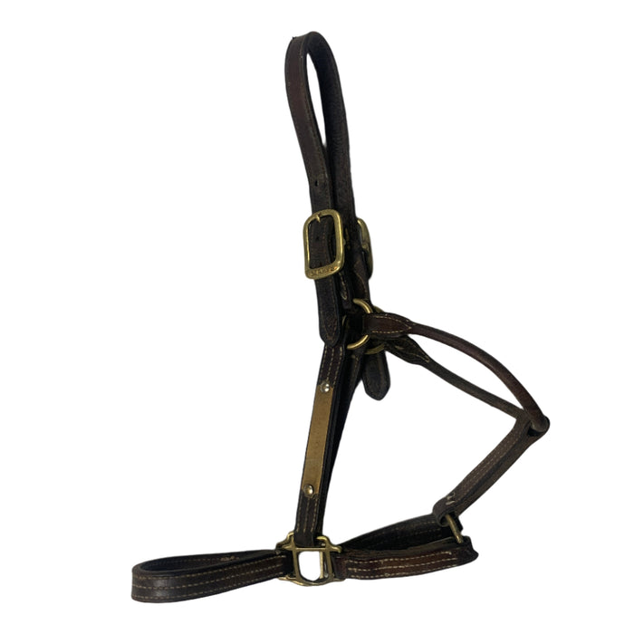 CNT 2876CC Mary's Leather Halter Brown approx. Full