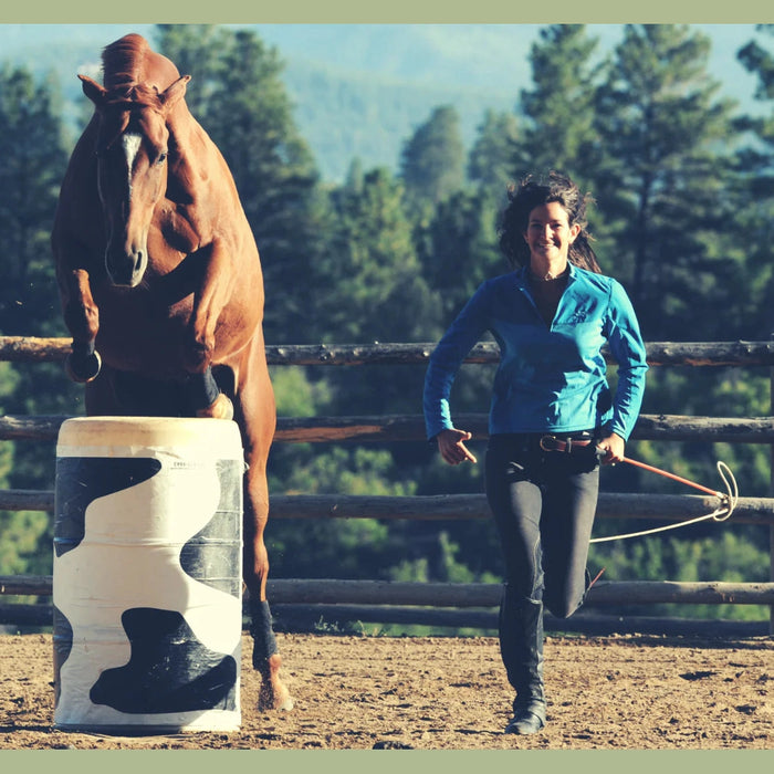 Parelli Carrot Stick