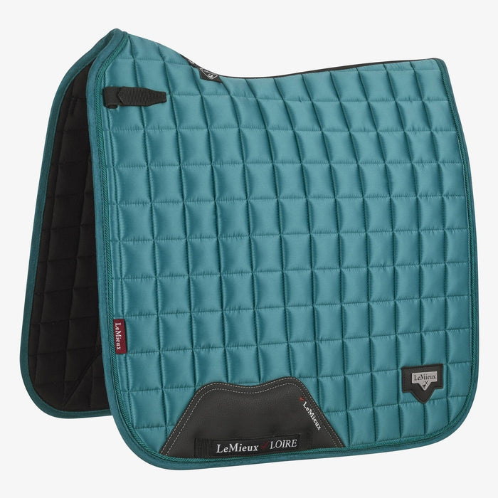 lm-loiredressage-peacock-hr