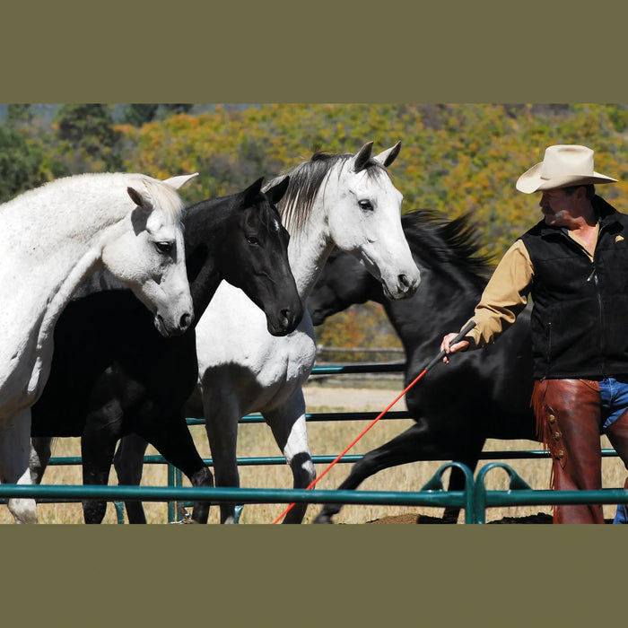 Parelli Carrot Stick