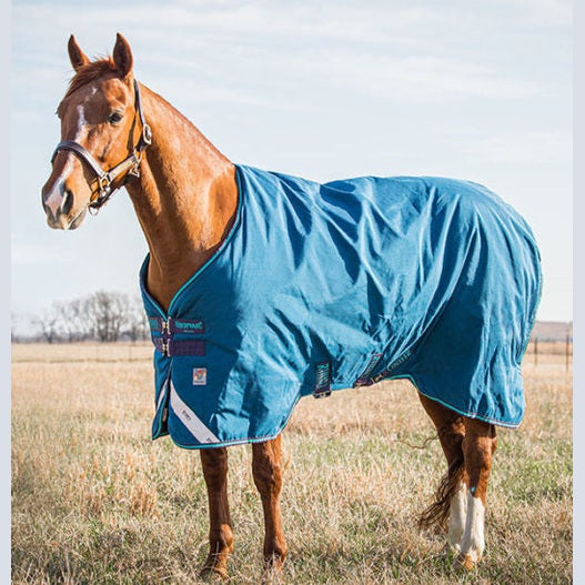 Rhino-Original-Turnout-Med-VL-Aqua-AABV83-BJAJ-527x562