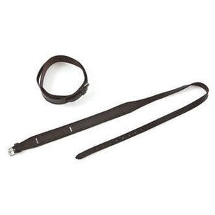 t350_d9cd8c26c18795fa3455a35e172cc275