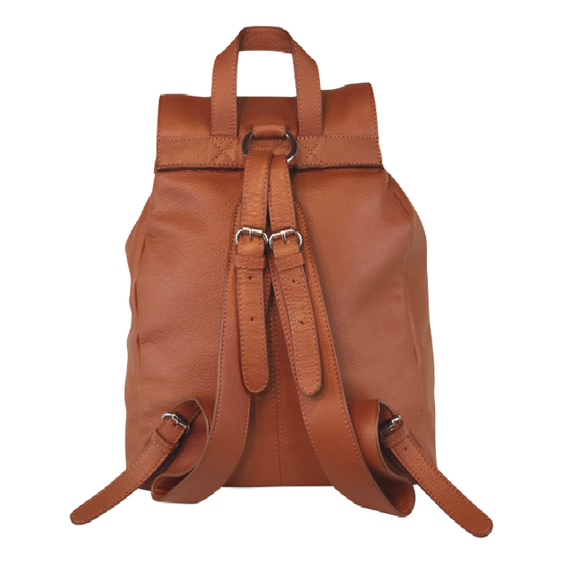 Brandywine Backpack: Polo
