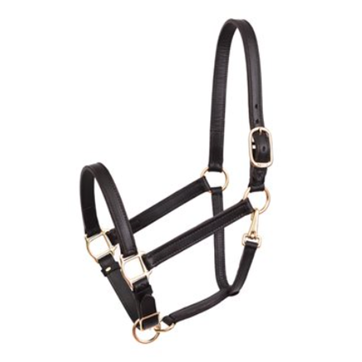 turnout-halter