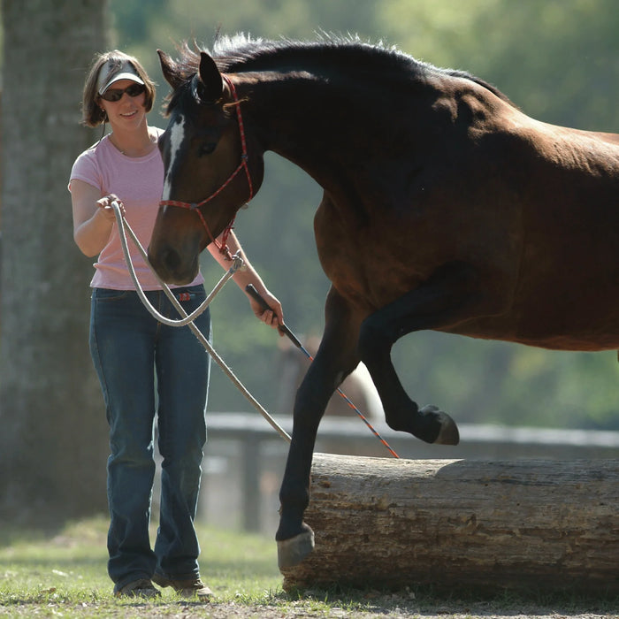 Parelli Carrot Stick