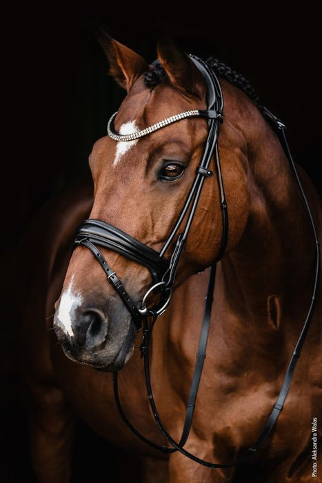 Schockemohle Isabell Werth Satchmo Bridle