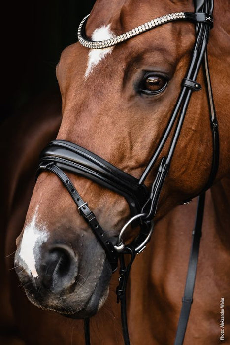 Schockemohle Isabell Werth Satchmo Bridle