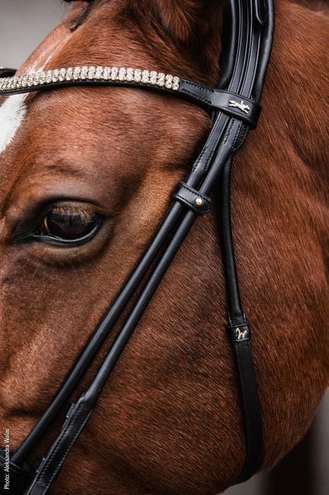 Schockemohle Isabell Werth Satchmo Bridle