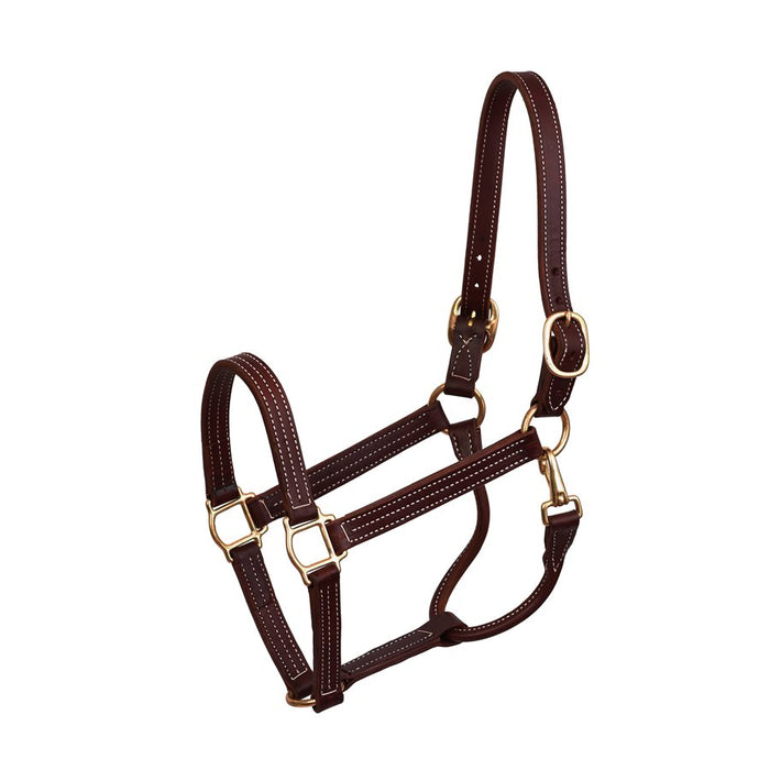 Perris 1" Professional Show Halter