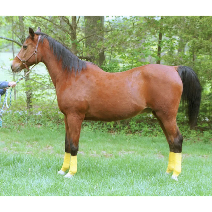 Co-Flex Self Adhesive Bandage