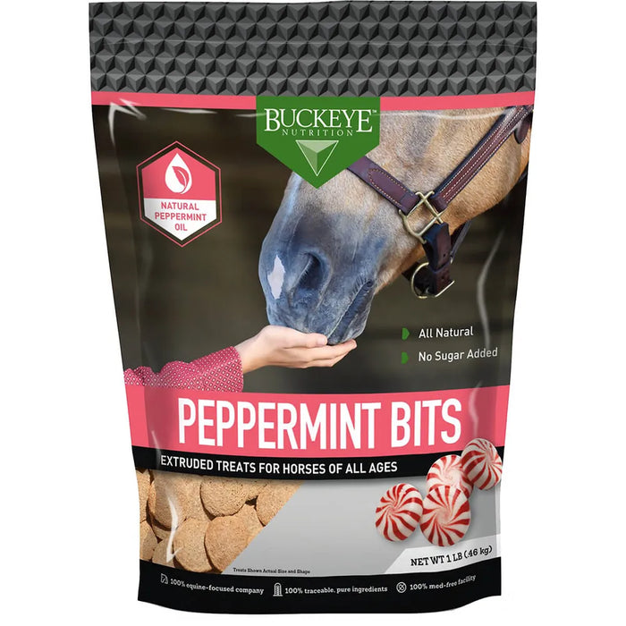 Buckeye Nutrition Treats with No Sugar