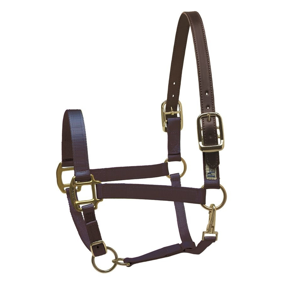 Nylon Halters