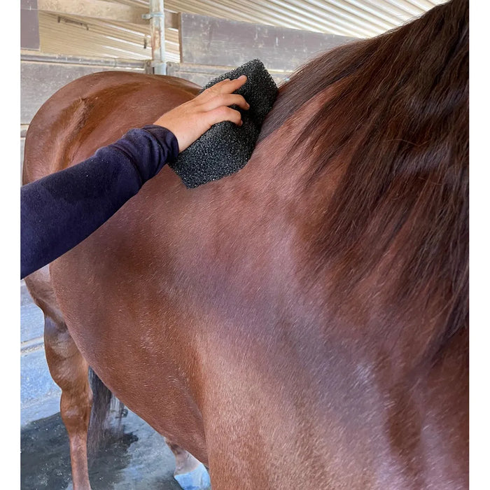 Tiger's Tongue Horse Groomer