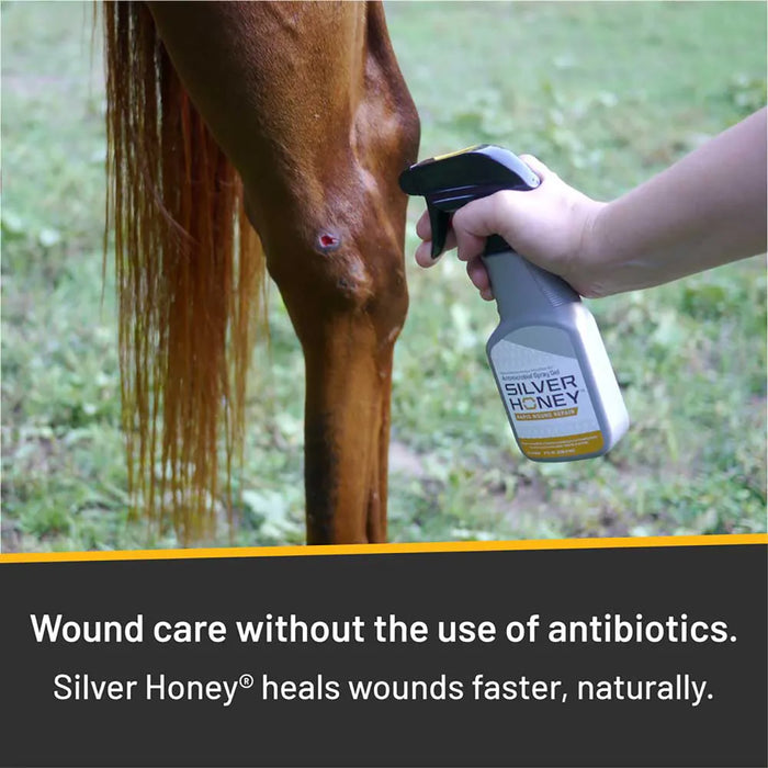 Silver Honey Rapid Wound Repair Spray