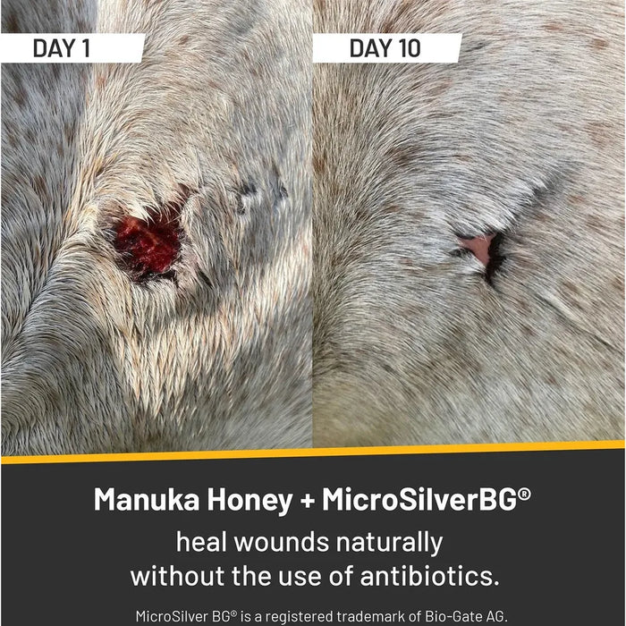 Silver Honey Rapid Wound Repair Spray