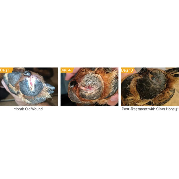 Silver Honey Hot Spot & Wound Care