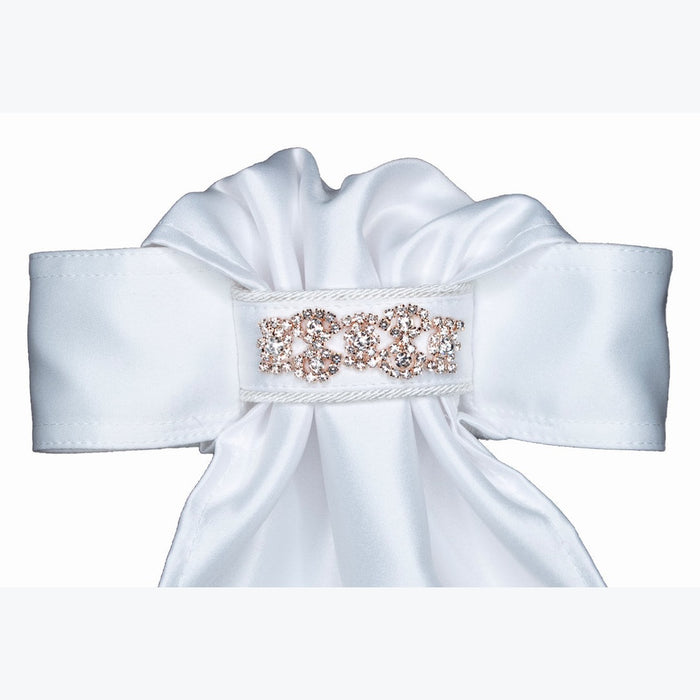 All Tied Up Women's Fancy Beaded Stock Tie