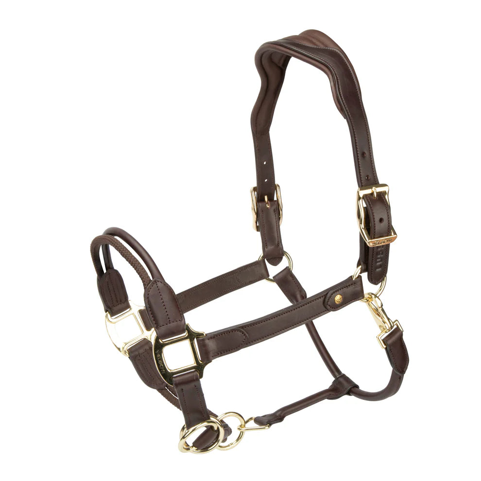 Leather Halters