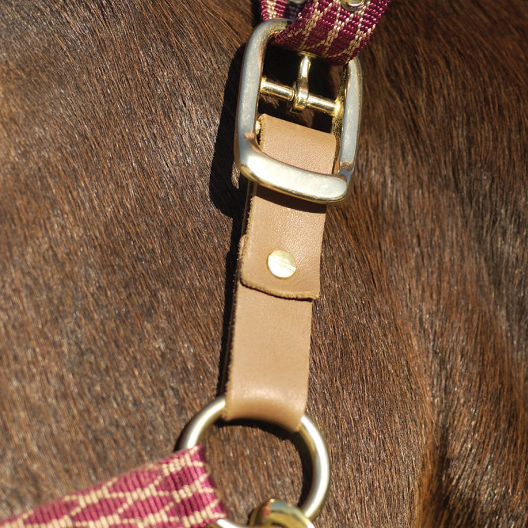 Stable Needs - Halters