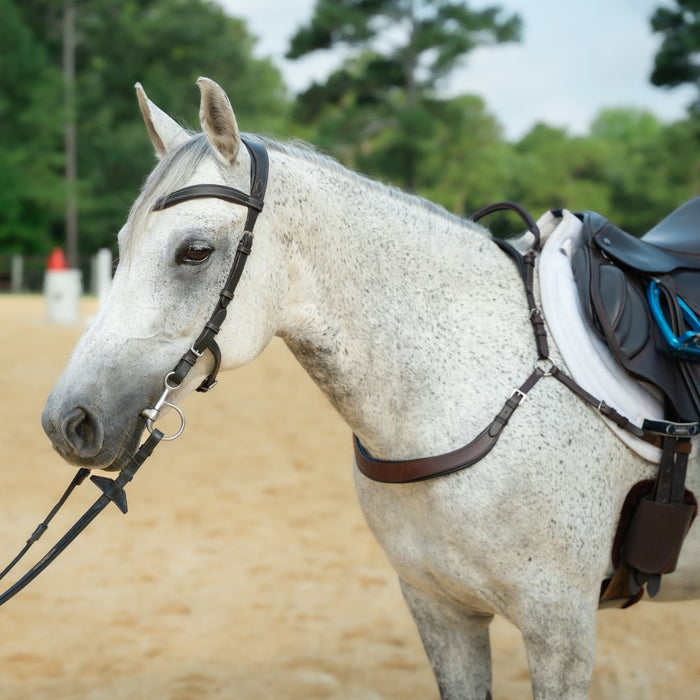 Free Motion Breastplate with Double Neck Strap