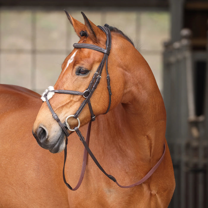 Shires Avignon Woodside Figure 8 Bridle
