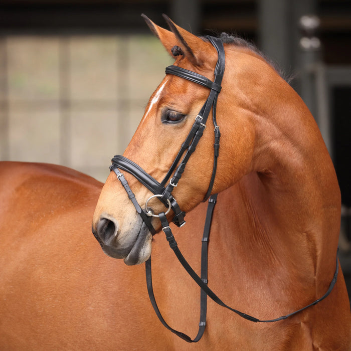 Shires Avignon Aspen Bridle