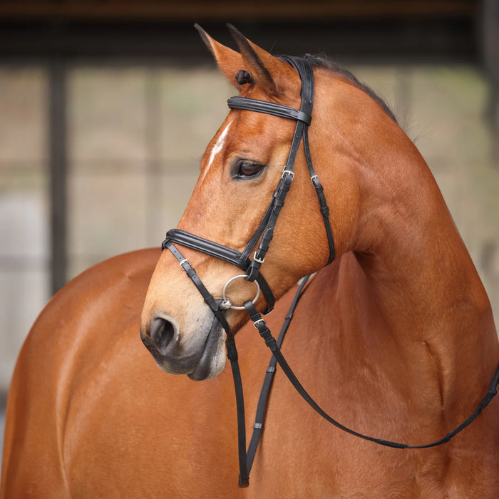 Shires Avignon Louisville Flash Bridle
