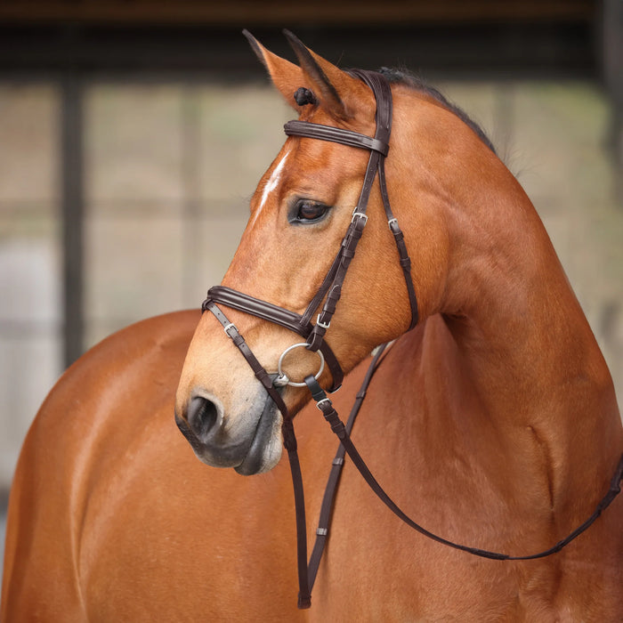 Shires Avignon Louisville Flash Bridle