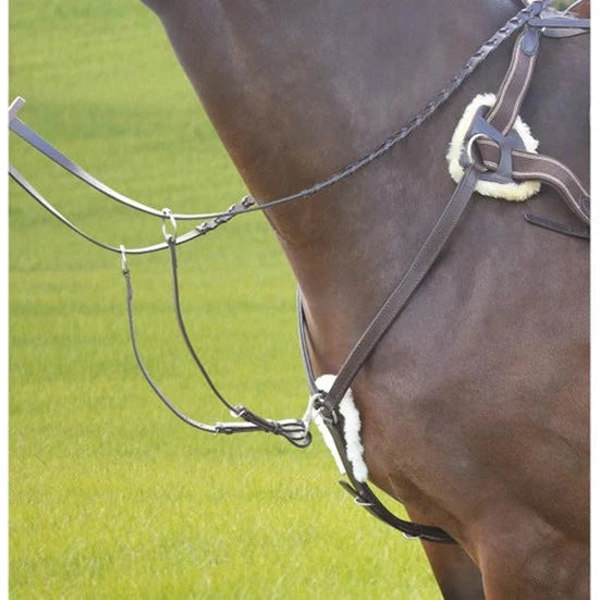 Shires Avignon 5 Point Breastplate