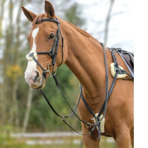 Shires Avignon 5 Point Breastplate