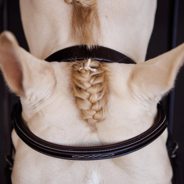 Shires Fancy Square Raised Padded Bridle with Fancy Square Laced Reins