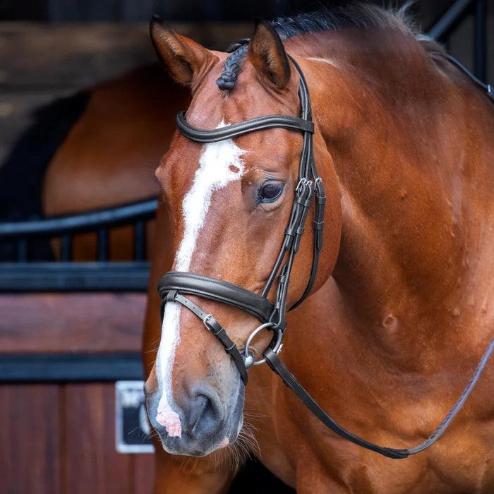 Shires Velociti Dressage Bridle with Flash