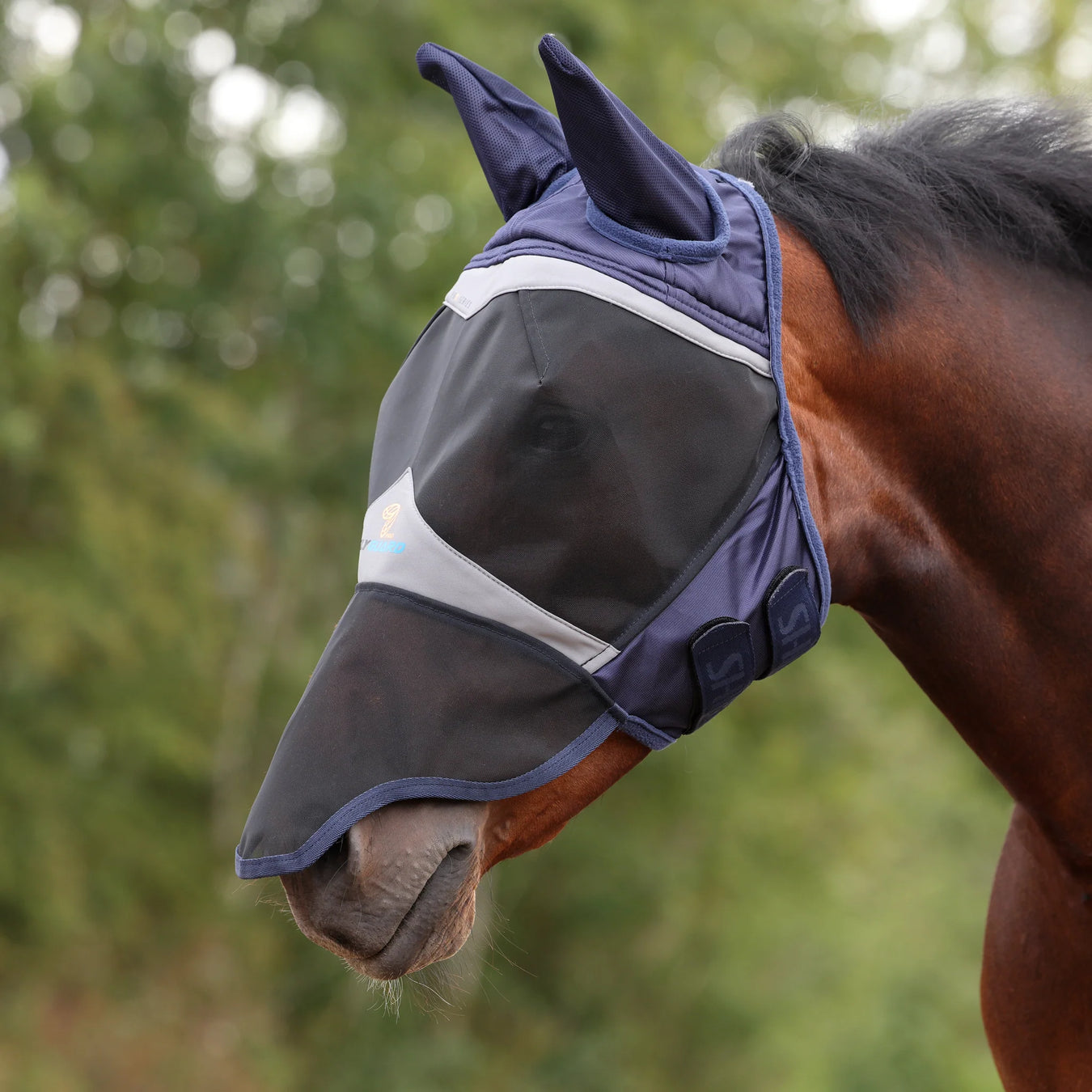 For the Horse - Closeouts