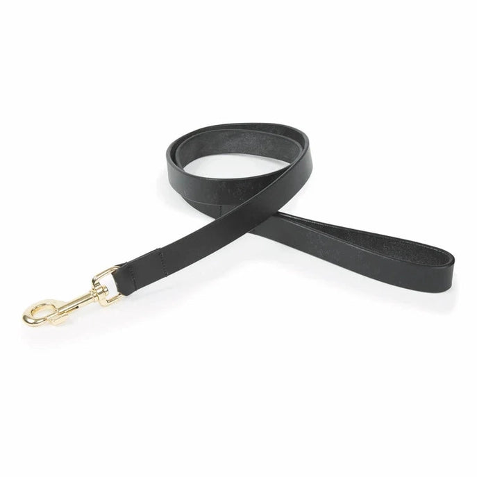 Shires Digby & Fox Flat Leather Dog Lead Black Medium