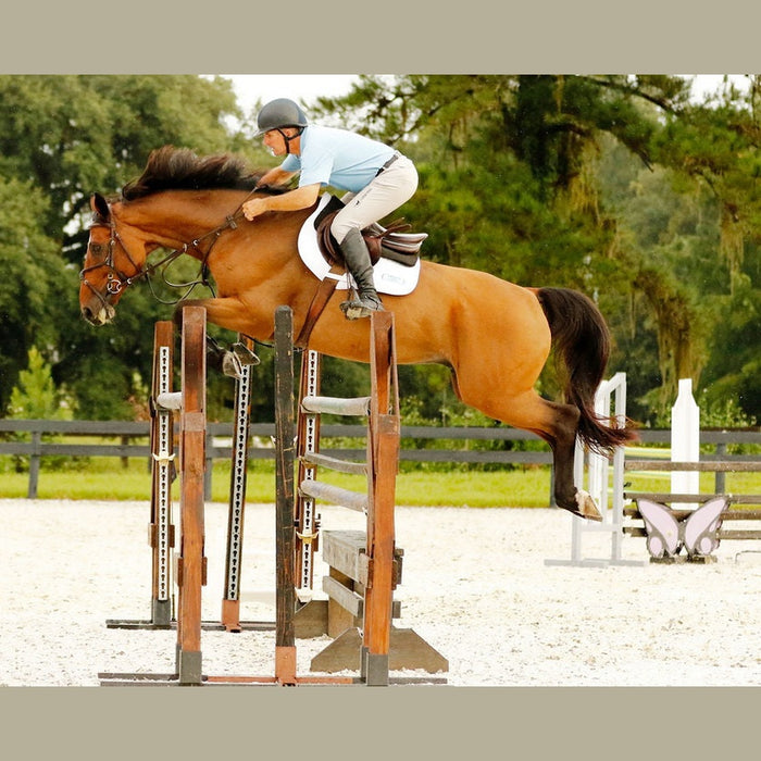 Aaron Vale Rein-3 Padded Hand Grips