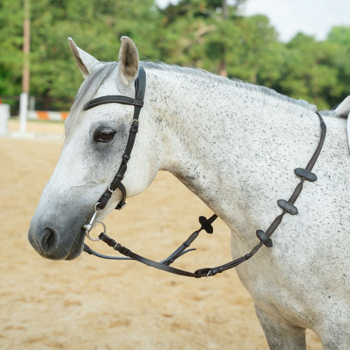 Aaron Vale Rein with 3 Slim Hand Grips