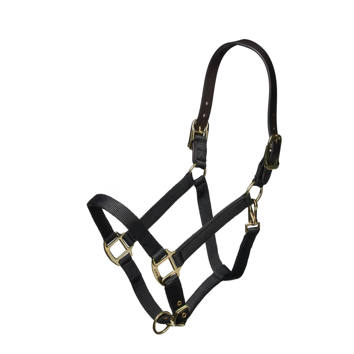 Shires Nylon Halter with Breakaway Leather Head Strap