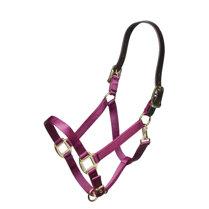 Shires Nylon Halter with Breakaway Leather Head Strap
