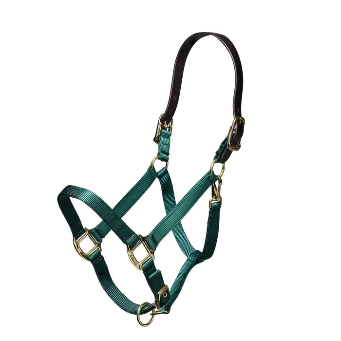 Shires Nylon Halter with Breakaway Leather Head Strap