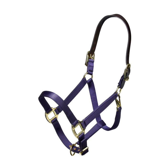 Shires Nylon Halter with Breakaway Leather Head Strap