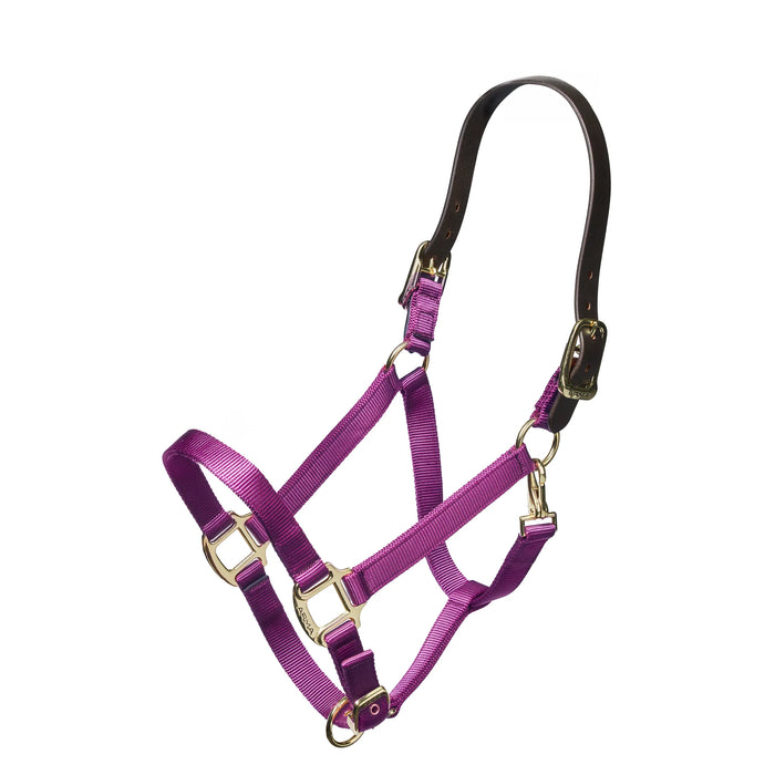 Shires Nylon Halter with Breakaway Leather Head Strap