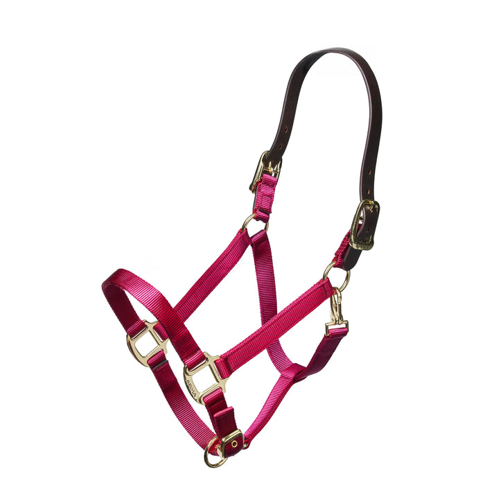 Shires Nylon Halter with Breakaway Leather Head Strap