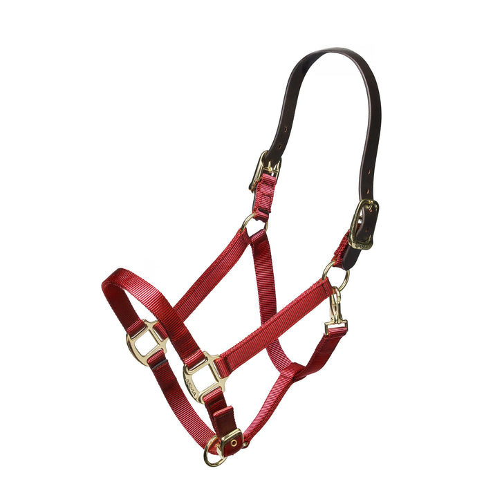 Shires Nylon Halter with Breakaway Leather Head Strap