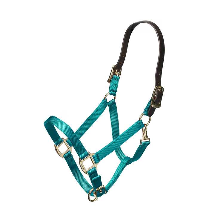 Shires Nylon Halter with Breakaway Leather Head Strap