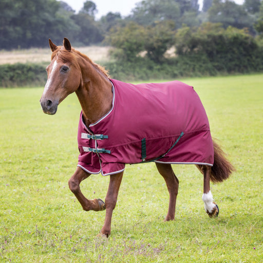 93310_MAROON_1