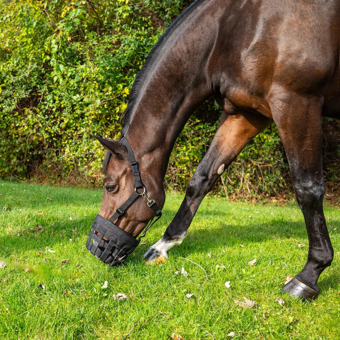 Best Friends Deluxe Grazing Muzzle