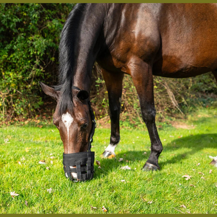 Best Friends Deluxe Grazing Muzzle
